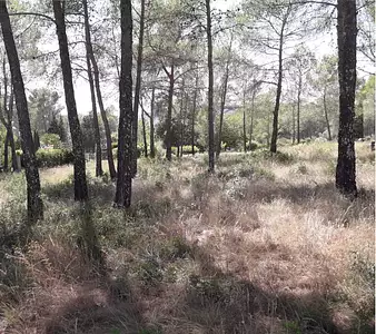 Maison neuve, 105 m²