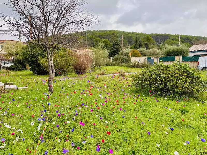 Terrain à bâtir, 515 m² - Solliès-Pont (83210)