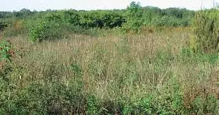 Terrain à bâtir, 350 m²
