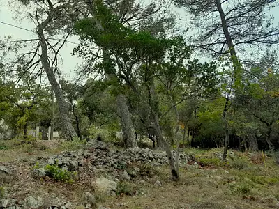 Maison neuve, 80 m²