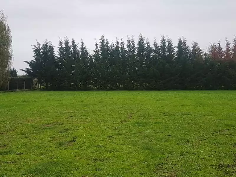 Maison neuve, 80 m² - Marsas (33620)