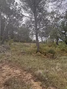 Terrain à bâtir, 352 m²