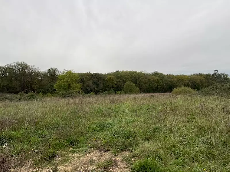 Terrain à bâtir, 547 m² - Neuillé-Pont-Pierre (37360)