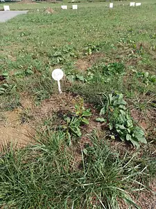 Maison neuve, 64 m²