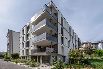 Opus