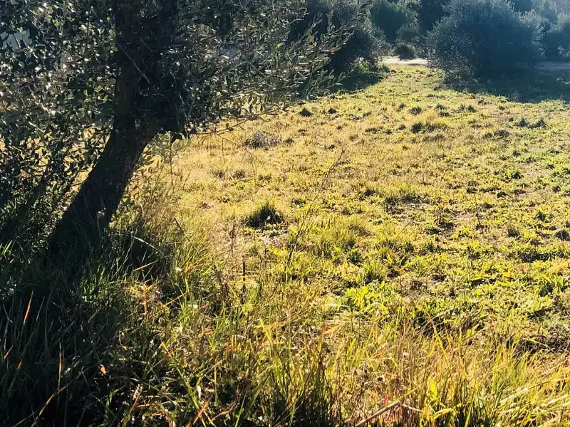 Terrain à bâtir, 600 m² - Pignans (83790)