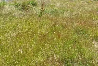 Terrain à bâtir, 652 m²