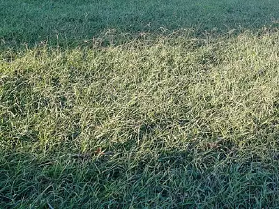 Maison neuve, 124 m²