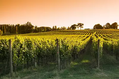 Terrain à bâtir, 884 m²