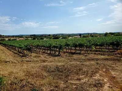 Maison neuve, 98 m²