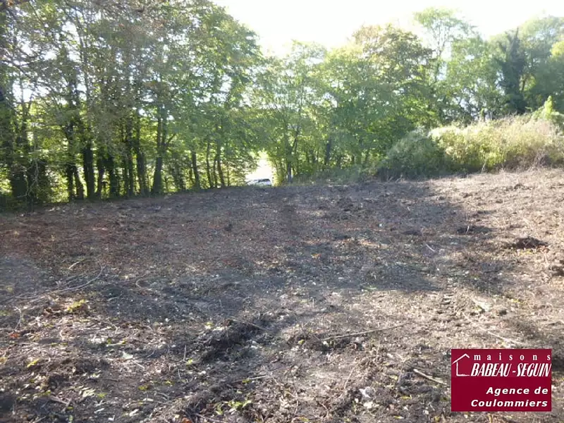 Terrain à bâtir, 1 908 m² - Amillis (77120)