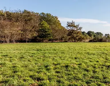 Terrain à bâtir, 3 690 m²