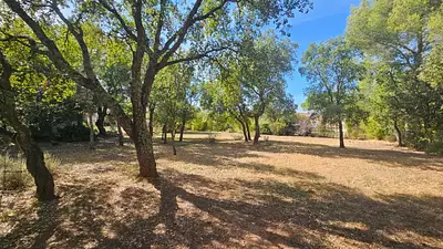 Terrain à bâtir, 1 007 m²