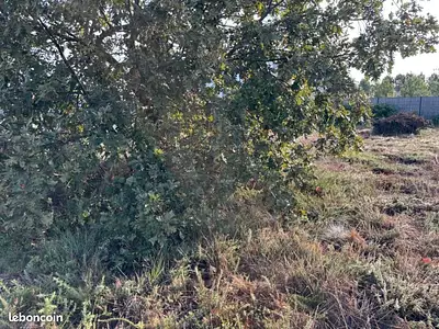 Terrain à bâtir, 600 m²