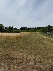 Terrain à bâtir, 902 m²