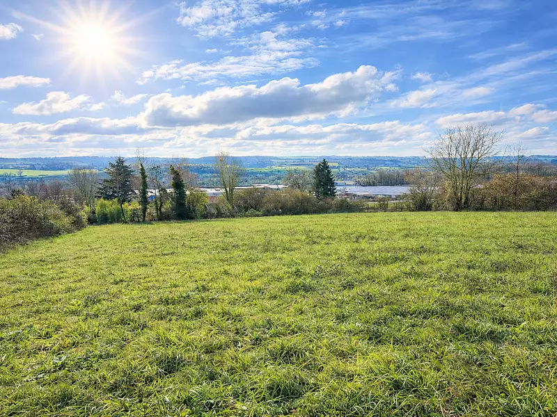 Terrain à bâtir, 4 100 m² - Cessieu (38110)