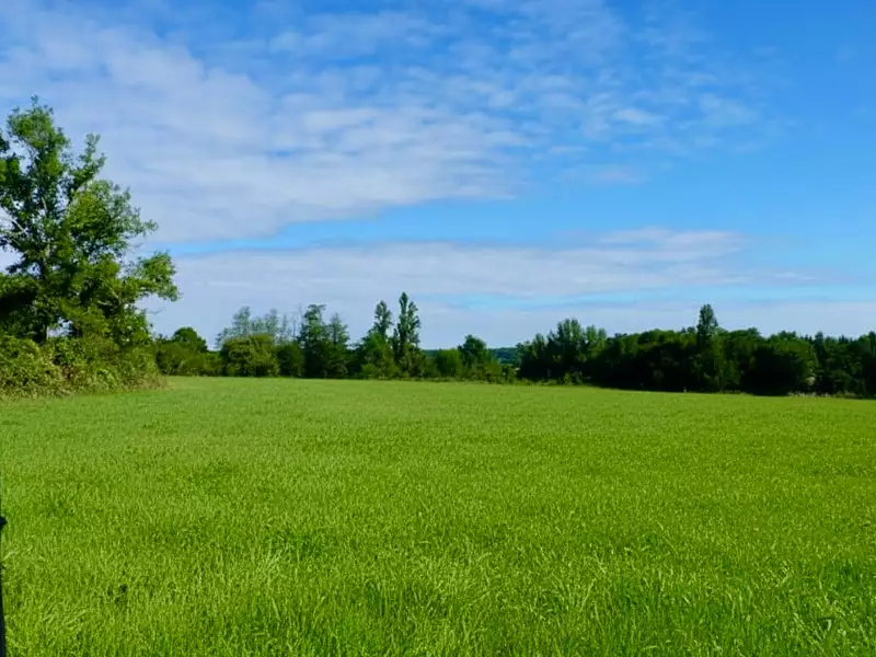 Terrain à bâtir, 985 m² - Salleboeuf (33370)