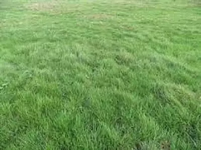 Maison neuve, 90 m²