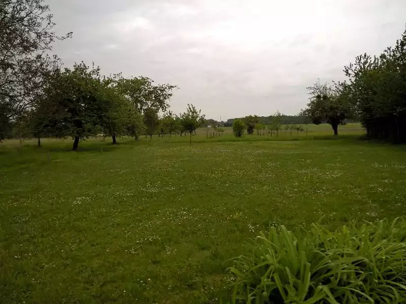Maison neuve, 110 m² - Montereau (45260)