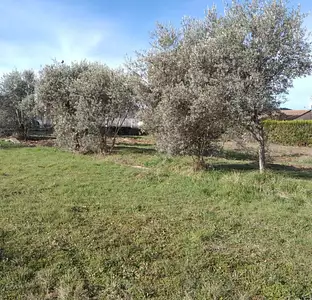 Terrain à bâtir, 510 m²