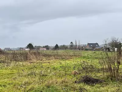 Maison neuve, 90 m²