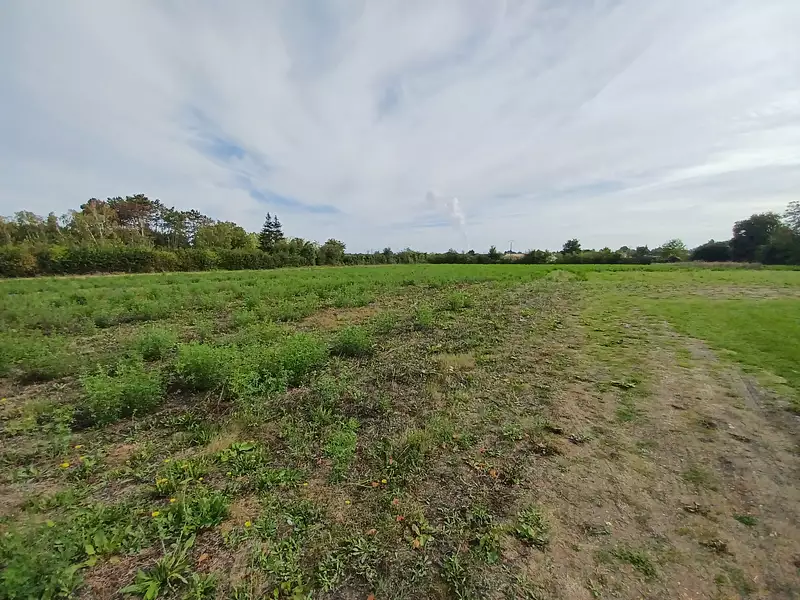 Maison neuve, 83 m² - Biard (86580)