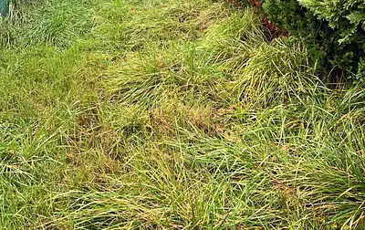 Terrain à bâtir, 730 m²