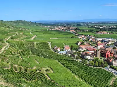 Prochainement à Wintzenheim