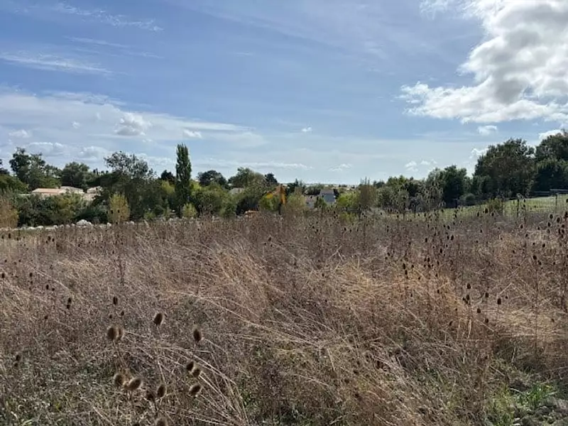 Maison neuve, 195 m² - Châtelaillon-Plage (17340)