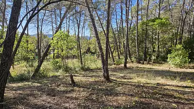 Maison neuve, 90 m²