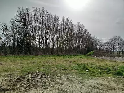 Maison neuve, 77 m²