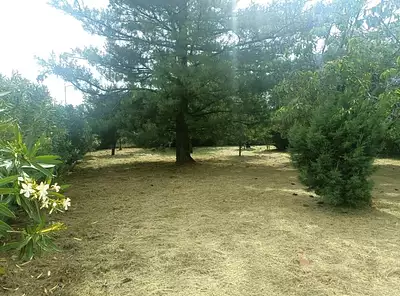 Terrain à bâtir, 400 m²