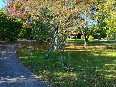 Terrain à bâtir, 1 230 m²