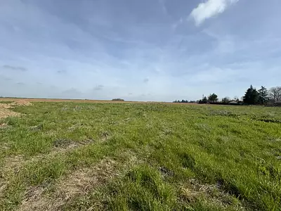Terrain à bâtir, 650 m²