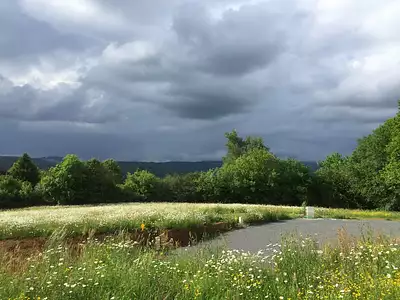 Terrain à bâtir, 1 317 m²