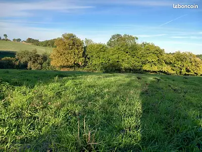 Maison neuve, 90 m²