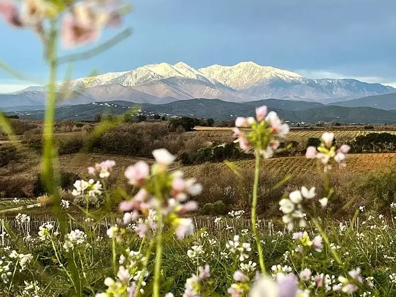 Terrain à bâtir, 1 084 m² - Ria-Sirach (66500)