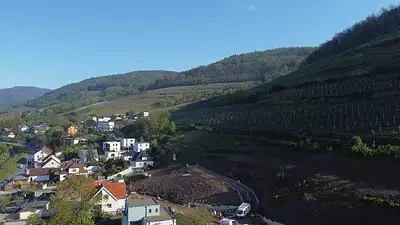 SCHIMBERG