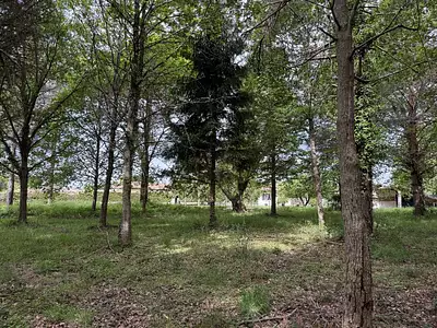 Terrain à bâtir, 900 m²