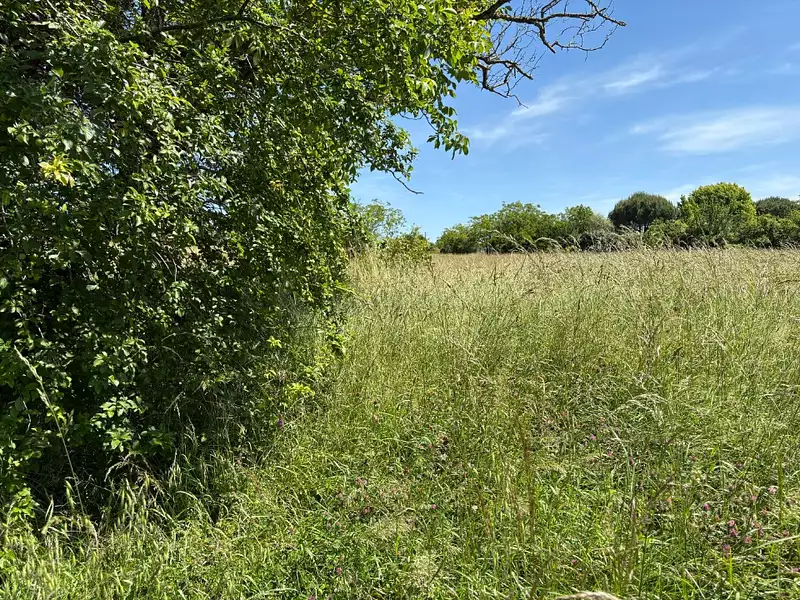 Maison neuve, 90 m² - Montpitol (31380)