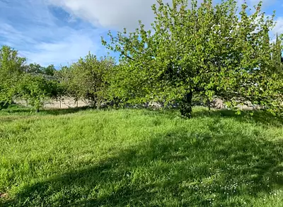 Maison neuve, 134 m²