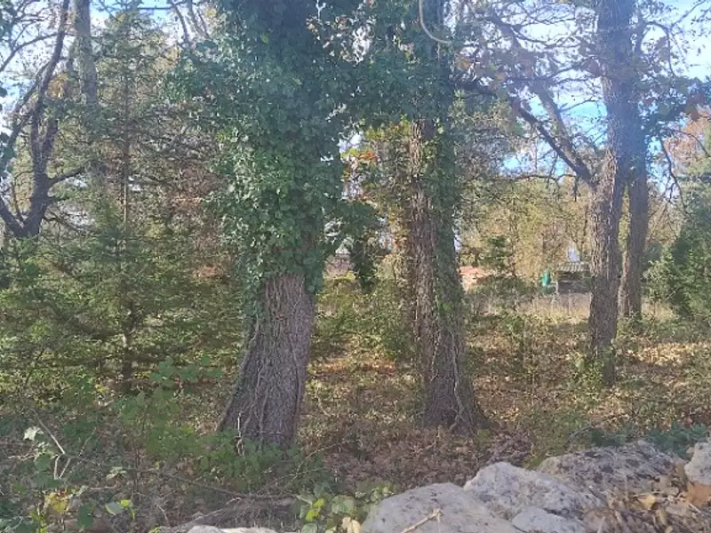 Terrain à bâtir, 1 830 m² - Barjac (30430)