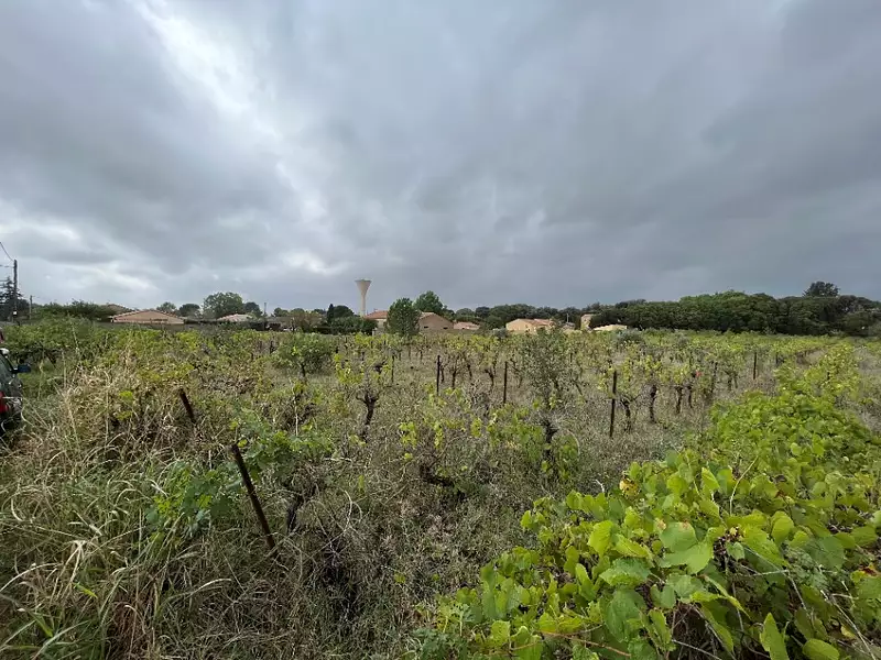 Maison neuve, 162 m² - Canet (34800)