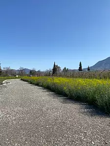 Terrain à bâtir, 786 m²