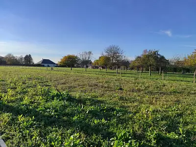 Maison neuve, 84 m²