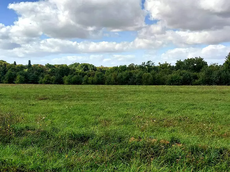 Terrain à bâtir, 435 m² - Bléré (37150)