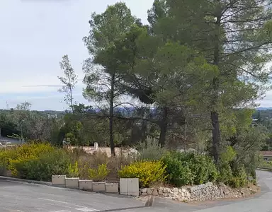 Terrain à bâtir, 774 m²