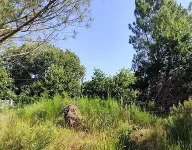 Terrain à bâtir, 700 m²