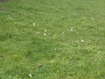 Terrain à bâtir, 500 m²