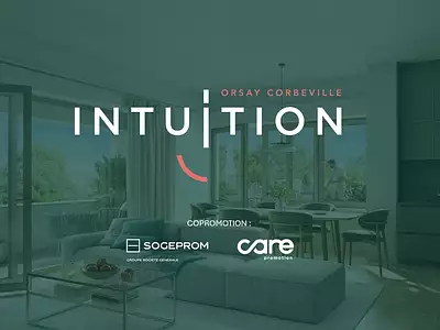 Intuition